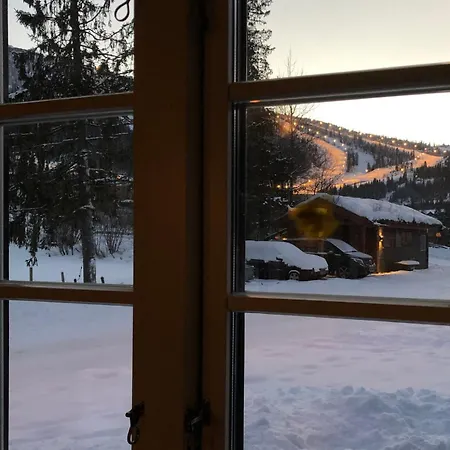 Cozy And Location Mountain Town *