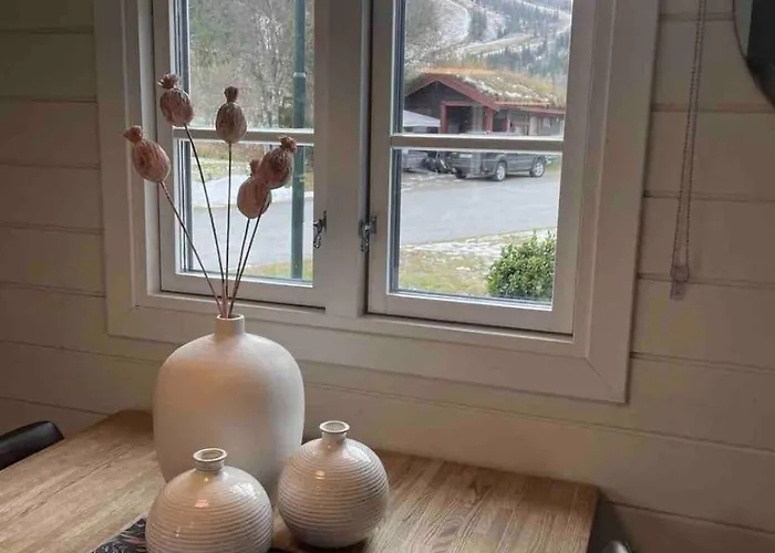 公寓 Cozy And Location Mountain Town 海姆瑟达尔