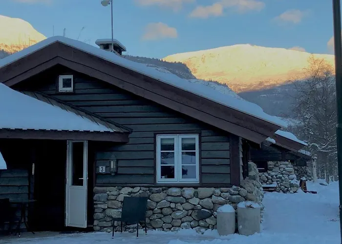 Cozy And Location Mountain Town 公寓 海姆瑟达尔