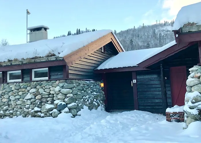 Lägenhet Cozy And Location Mountain Town Hemsedal