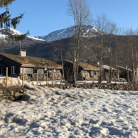 Cozy And Location Mountain Town Hemsedal